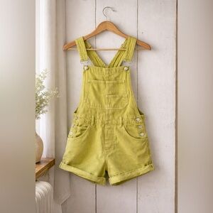 Free people We The Free Light Green Denim Overalls